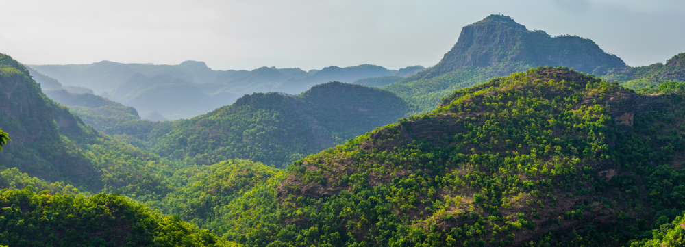 Pachmarhi monsoon marathon 2024