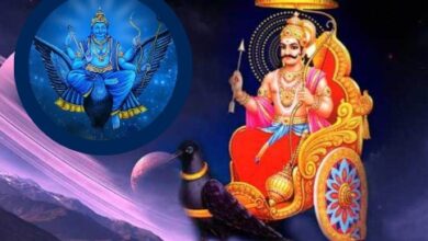 Shani Jayanti