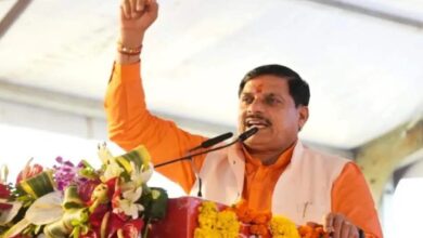 MP News