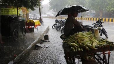MP Weather Update
