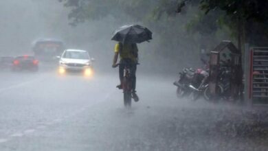 Weather Update