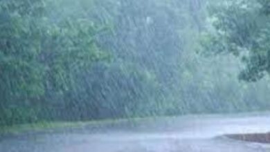 MP Weather Update