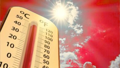 Heatwave
