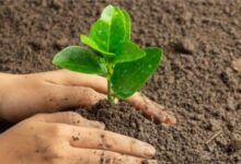 World Environment Day