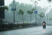 MP Weather