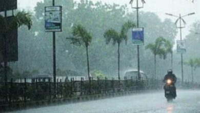 MP Weather