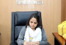 MP News