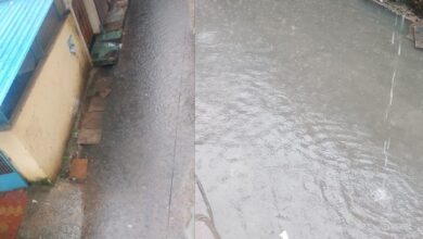 Rain Alert