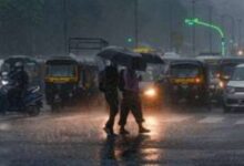 MP Weather