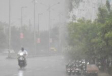 MP Weather
