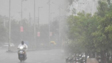 MP Weather