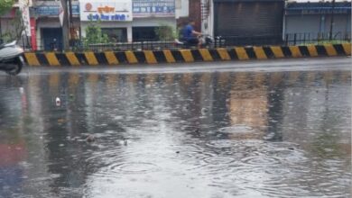 MP Weather