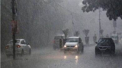 MP Weather