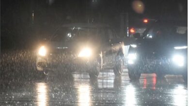 MP Weather