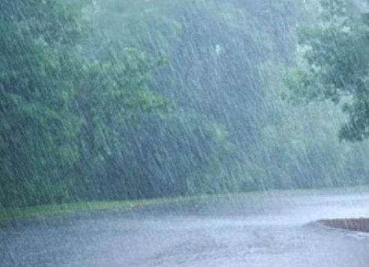 MP Weather
