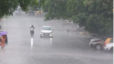 MP Weather