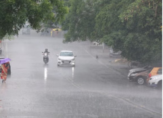 MP Weather