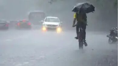 MP Heavy Rain