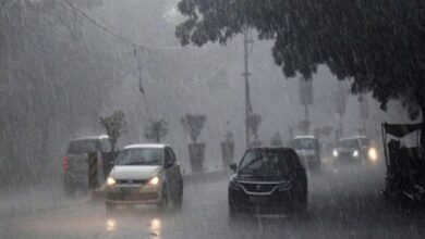 MP Weather