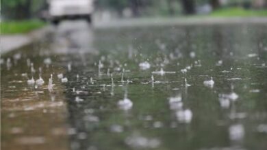 MP Weather