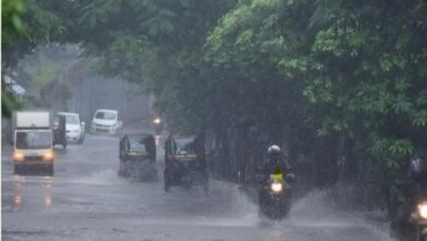 MP Weather