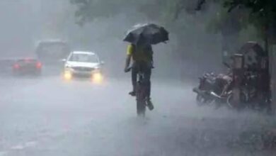MP Weather