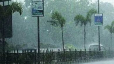MP Weather