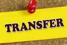 MP Transferred