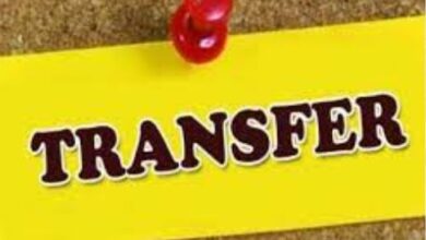 MP Transferred