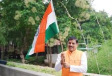 MP News