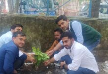 MP News