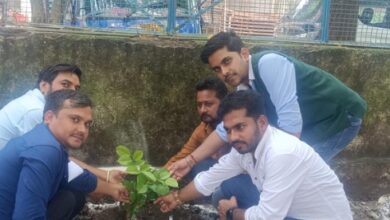 MP News