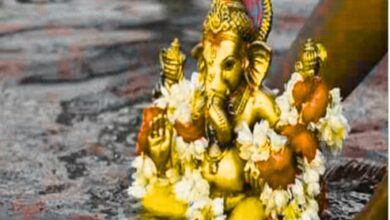 Ganpati Visarjan 2025
