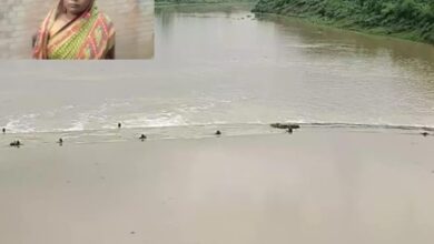 UP Kanpur