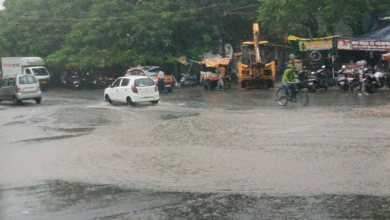 MP Weather