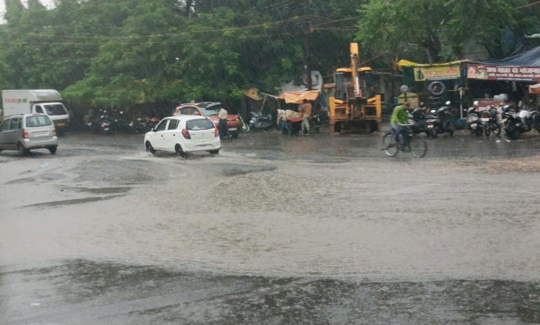 MP Weather