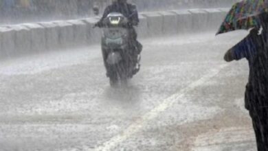 MP Weather