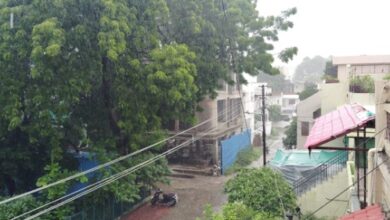 MP Weather