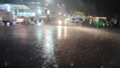 MP Weather
