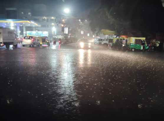 MP Weather