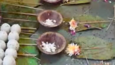 Pitru Paksha Amavasya
