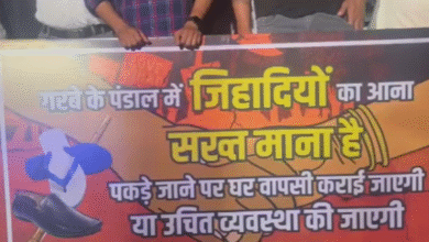 MP News
