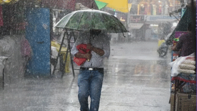 MP Weather