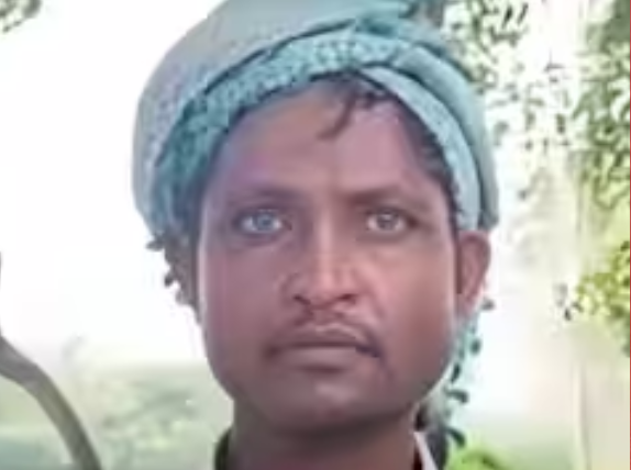UP News