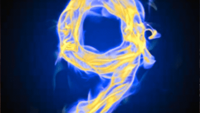 Numerology